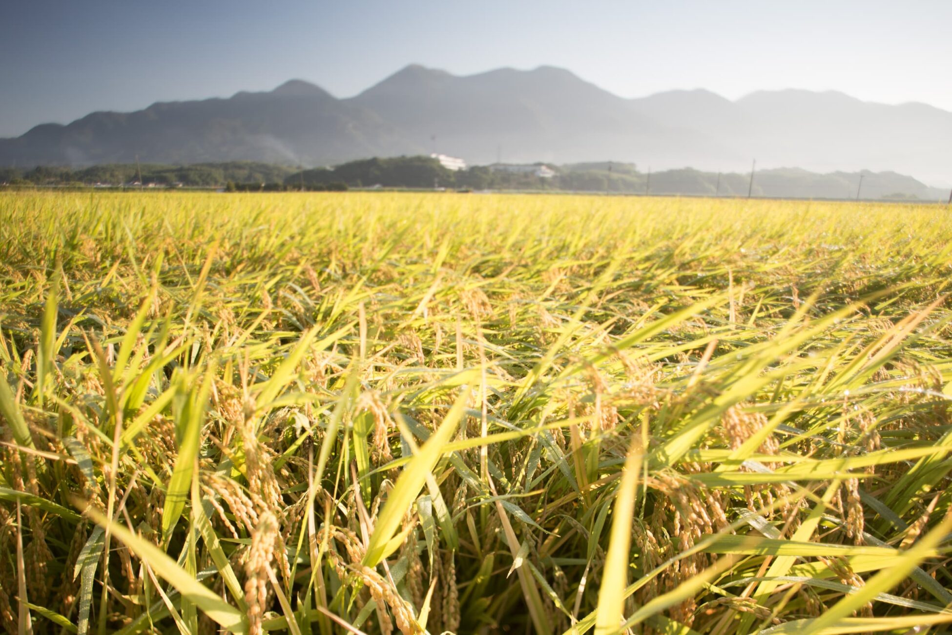 グループのカバー画像